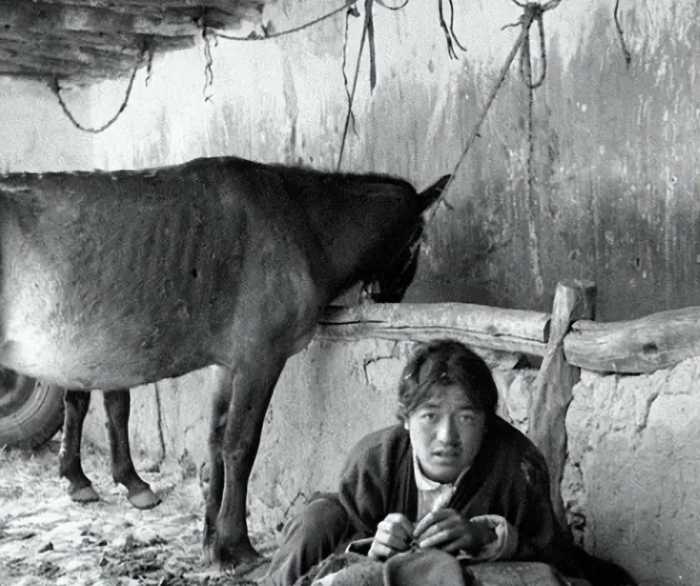 罕见老照片：体态丰满的新疆女人，裸着上身的西藏女奴给孩子喂奶